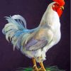 Big White Rooster Paint By Numbers