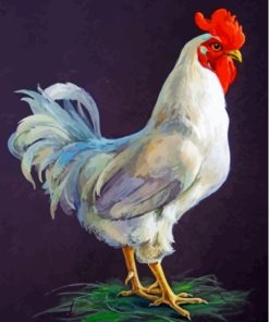 Big White Rooster Paint By Numbers