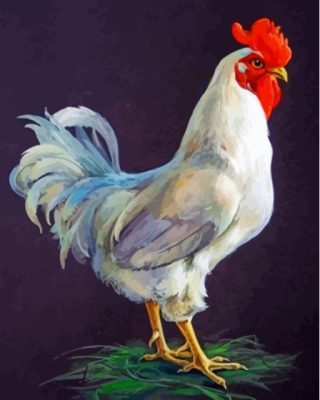 Big White Rooster Paint By Numbers