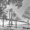 Black And White Verrazzano Narrows Bridge View Paint By Numbers