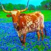 Bluebonnets And Longhorn Paint By Numbers