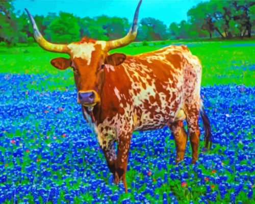 Bluebonnets And Longhorn Paint By Numbers