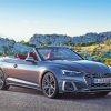 Cabriolet Audi S5 Paint By Numbers