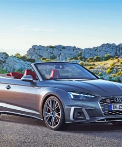 Cabriolet Audi S5 Paint By Numbers