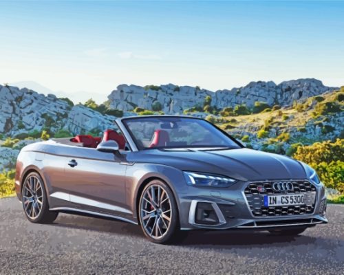 Cabriolet Audi S5 Paint By Numbers