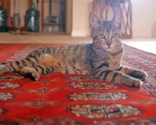 Cat On Persian Rug Paint By Numbers