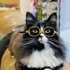 Cat With Glasses Paint By Numbers