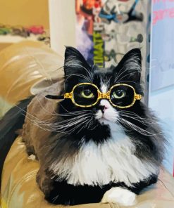 Cat With Glasses Paint By Numbers