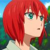 Chise Hatori Paint By Numbers