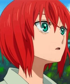 Chise Hatori Paint By Numbers