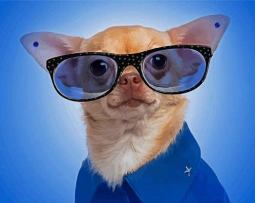 Classy Chihuahua With Glasses Paint By Numbers