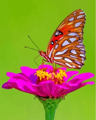 Colorful Butterfly On Rose Paint By Numbers