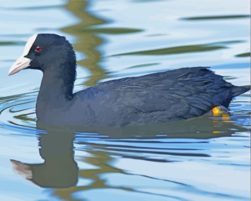 Coot Swimming In Lake Paint By Numbers