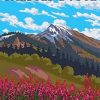 Crested Butte Colorado Poster Paint By Numbers