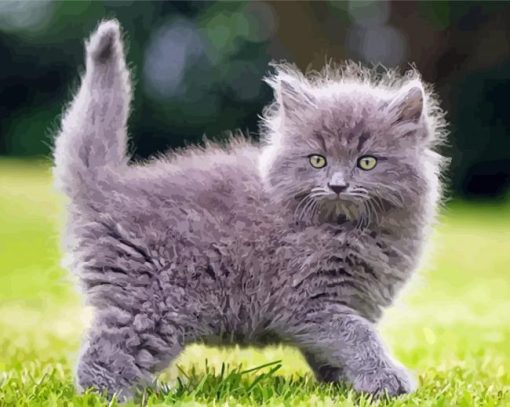 Cute Long Hair Grey Cat Paint By Numbers