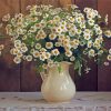 Daisies Flowers In Water Jug Paint By Numbers