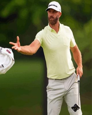 Dustin Johnson Paint By Numbers