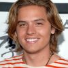 Dylan Sprouse Paint By Numbers