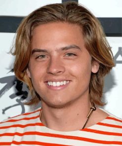 Dylan Sprouse Paint By Numbers