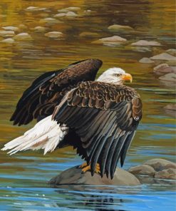 Eagle On The River Art Paint By Numbers