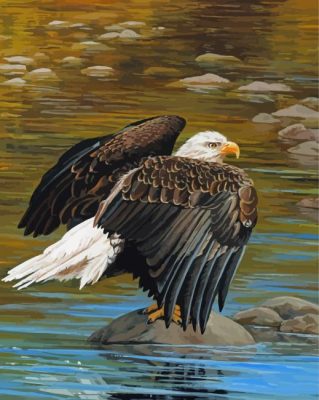 Eagle On The River Art Paint By Numbers