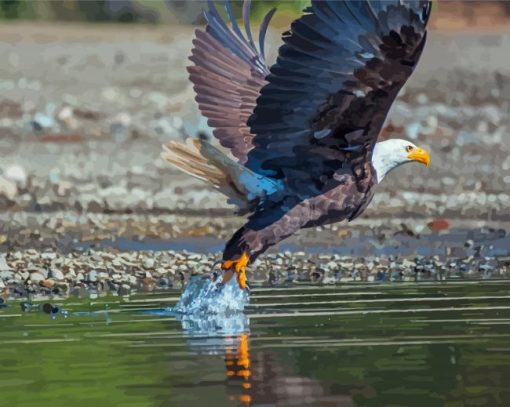 Eagle On The River Paint By Numbers