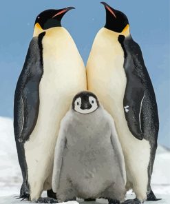 Emperor Penguin Paint By Numbers