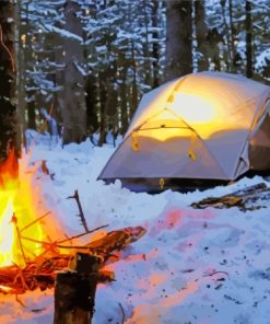 Forest Camping In Snow Paint By Numbers