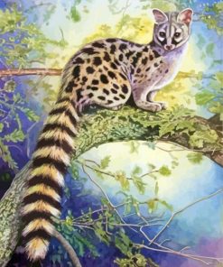 Genet Animal On Tree Paint By Numbers