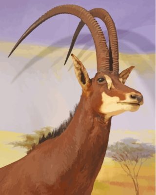 Giant Sable Antelope Paint By Numbers