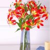 Gloriosa Lily In Glass Vase Paint By Numbers