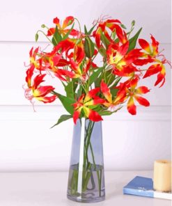 Gloriosa Lily In Glass Vase Paint By Numbers