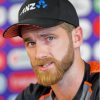 Kane Williamson Paint By Numbers