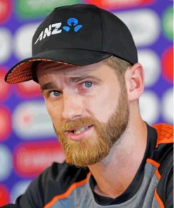 Kane Williamson Paint By Numbers