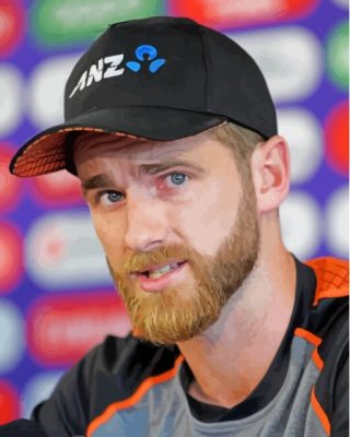 Kane Williamson Paint By Numbers