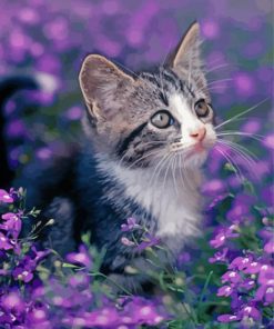 Kitten Wit Purple Flowers Paint By Numbers