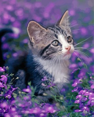 Kitten Wit Purple Flowers Paint By Numbers