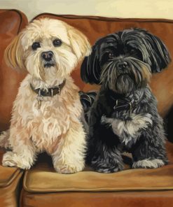 Lhasa Apso Dogs Paint By Numbers