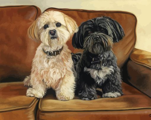 Lhasa Apso Dogs Paint By Numbers