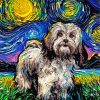 Lhasa Apso Starry Night Paint By Numbers