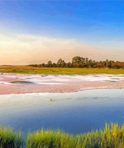 Marsh Florida Landscape Paint By Numbers