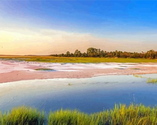 Marsh Florida Landscape Paint By Numbers