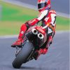 Motorcycle Racer Carl Fogarty Paint By Numbers