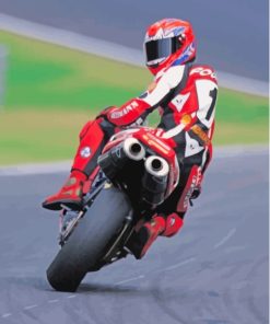 Motorcycle Racer Carl Fogarty Paint By Numbers