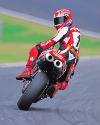 Motorcycle Racer Carl Fogarty Paint By Numbers