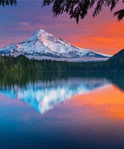 Mt Hood Lost Lake Water Reflection Paint By Numbers