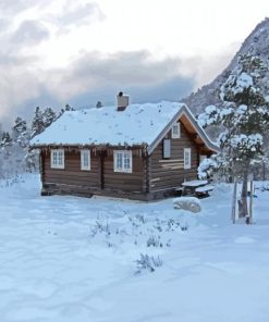 Norwegian Cabin In Snow Paint By Numbers