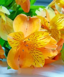 Orange And Yellow Alstroemeria Paint By Numbers