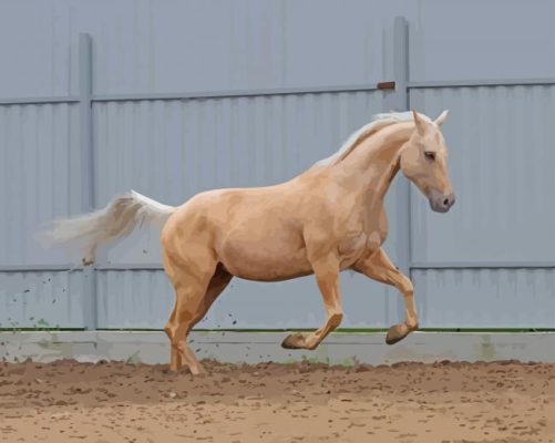 Palomino Horse Paint By Numbers