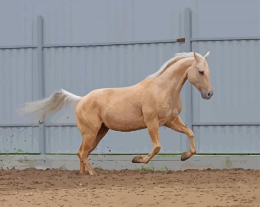 Palomino Horse Paint By Numbers